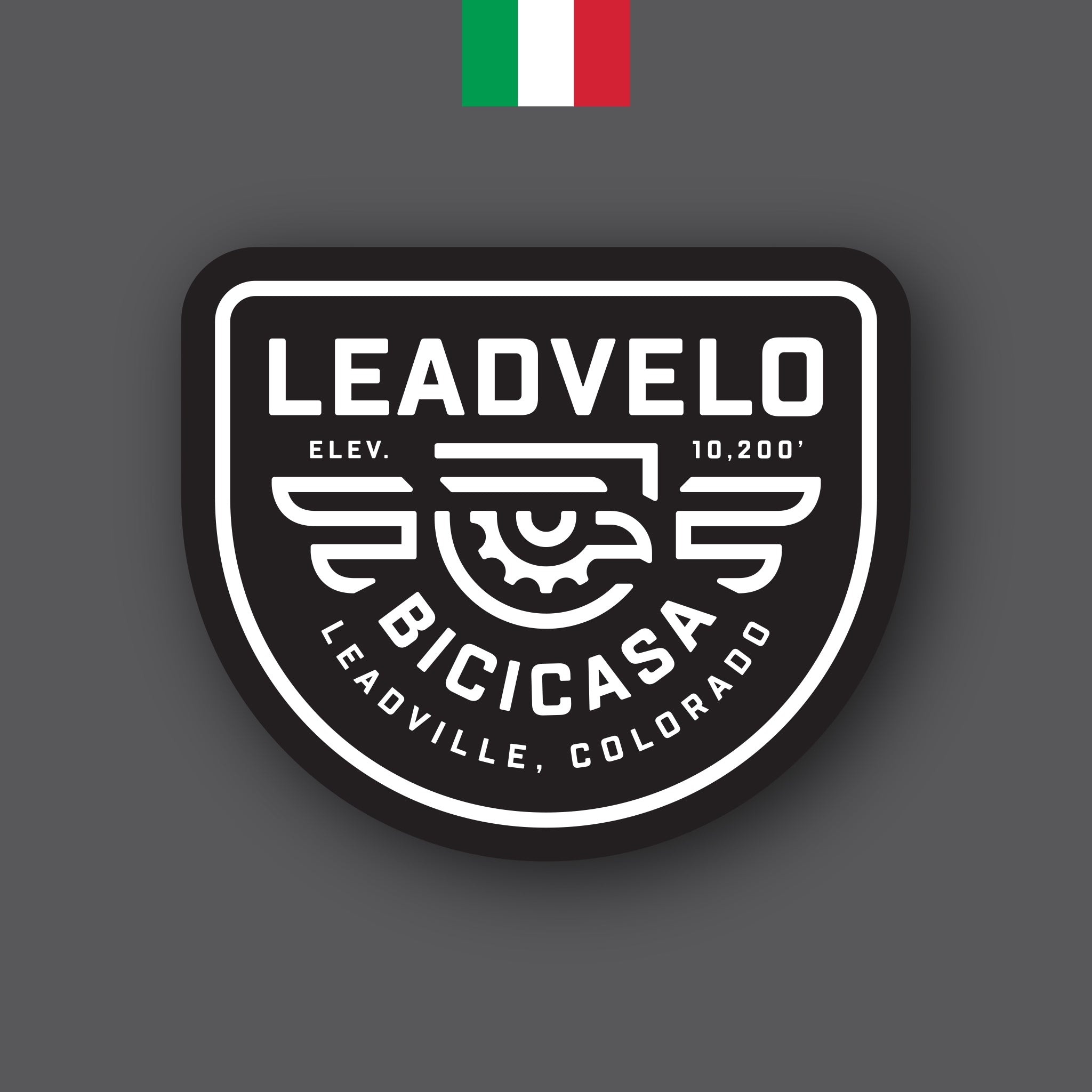 Leadvelo Bicicasa Logo by Sunday Lounge
